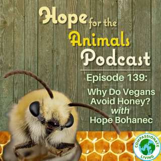 Why Do Vegans Avoid Honey? with Hope Bohanec
