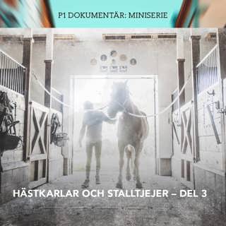 Hästkarlar och stalltjejer: Hästkarlarnas revansch | Del 3/3
