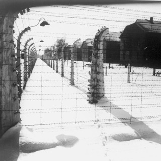 Eighty years on: honouring memory, upholding humanity