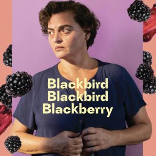 Flicking #66: Blackbird Blackbird Blackberry