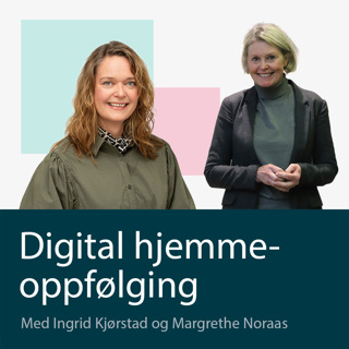 Sikker deling av helsedata: Erfaringer fra EU-prosjektet CRANE