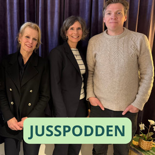 §277 Jehovas vitner, ponzi-svindel og systemsammenbrudd i Baneheia-saken