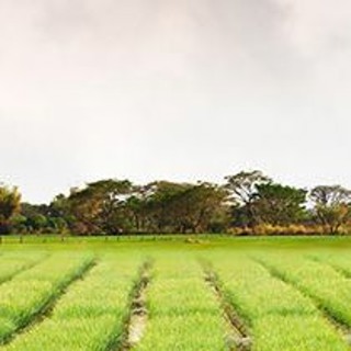 Planet versus profit: striking a balance
