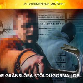 De gränslösa stöldligorna – Bilarnas guld | Del 2/3