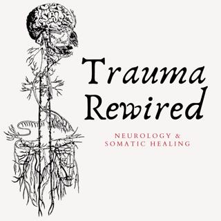 Attachment is the Root of Complex Trauma