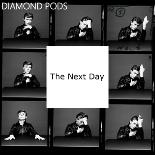 Diamond Pods- The Next Day