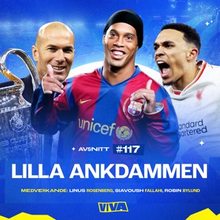 #117 - Lilla ankdammen