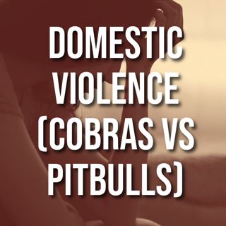 Domestic Violence (Cobras vs Pitbulls)(2016 Rerun)