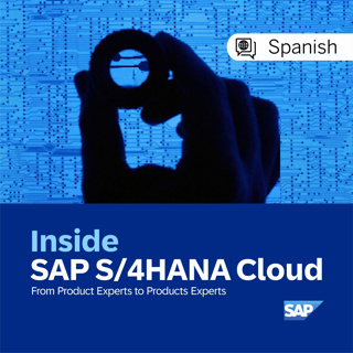 ES - Episode 13: SAP Partner Local Versions en SAP Cloud ERP: Claves para una implementación exitosa