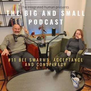 #11 Bee swarms, acceptance and conspiracy