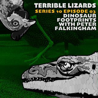 TLS10E03 Dinosaur footprints