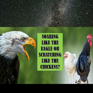 Soaring like the eagle or scratching like the chickens.
