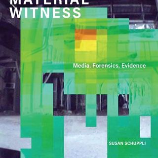 Material Witness: Media, Forensics, Evidence