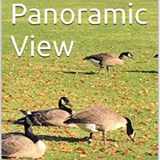 Panoramic View Volume 24 Canadian’s Best by Daniel Lucas