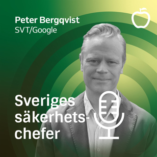 Peter Bergqvist, SVT och Google