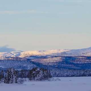 Naturnjut vid lägerelden - och hur naturvården påverkas av nya budgeten
