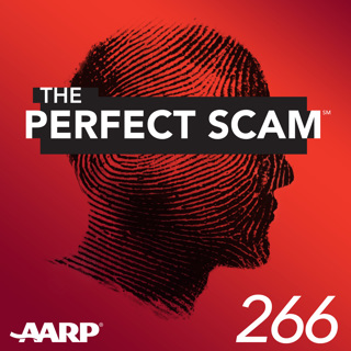 $1.3 Million Fake Investigation Scam