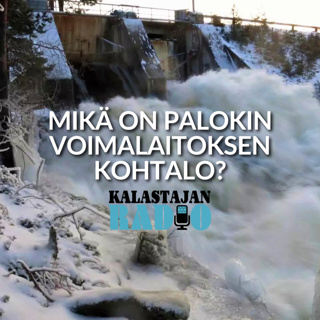 Mikä on Palokin voimalaitoksen kohtalo?