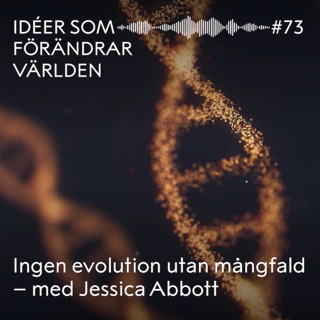 Ingen evolution utan mångfald – med Jessica Abbott