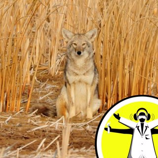 Conflict in Conservation