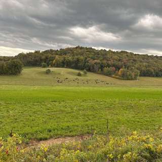 Where a land ethic blooms