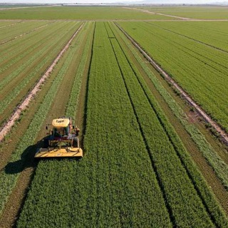 How to save American farming