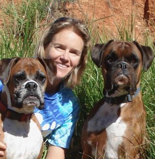 Peta Clarke; Animal Training solutions – ABC's & K9 Nose Work ….