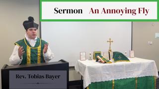 Sermon: An Annoying Fly, by Rev. Tobias Bayer