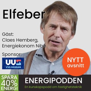 Elfeber 