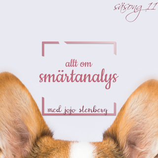 Allt om smärtanalys