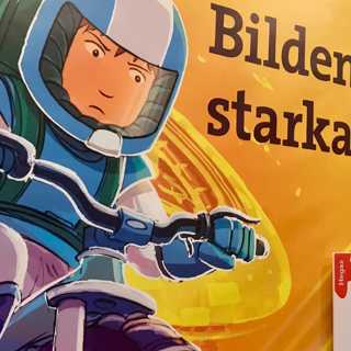 Bildning i bildsamhället