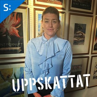 Catharina Bildt Grape om Mismatch - Arbetsförmedlingen och svensk arbetsmarknad