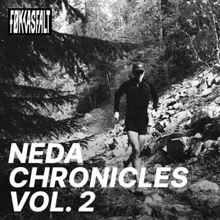 NEDA Chronicles Vol. 2