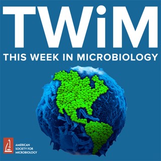 336: The Volatilome of Biofluids