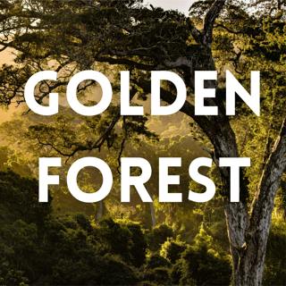 Golden Forest - Gentle Music for Sleep