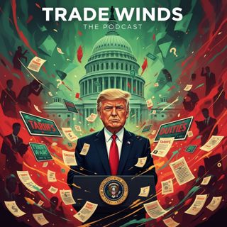 Tariffs Under Scrutiny_ Supreme Court Ruling’s Ripple Effect (Part 3)