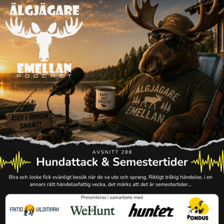 Hundattack & Semestertider