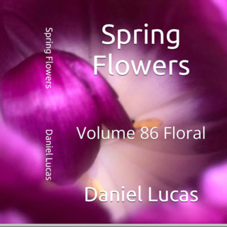 Spring Flowers Volume 86 Floral by Daniel Lucas