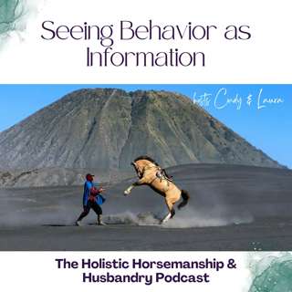 61: Seeing Your Horse's Behavior for What it Is... Information