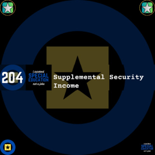 204 Enforcing Poverty: Supplemental Security Income