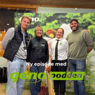 82 Hva skal til for å vinne en kuutstilling? Om eksteriør, avl og den gode melkekua