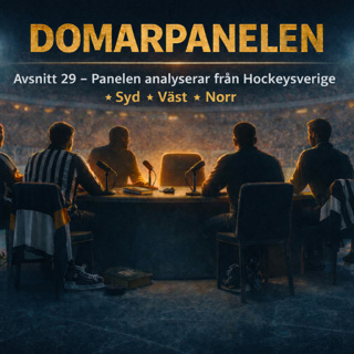 Avsnitt 29 - Domarpanelen analyserar från Hockeysverige