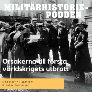 Orsakerna bakom första världskriget