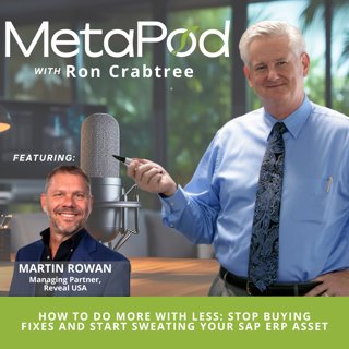 How to Do More with Less: Stop Buying Fixes and Start Sweating Your SAP ERP Asset