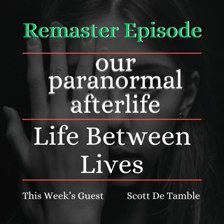 Life Between Lives Regression