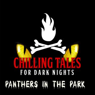 S4 Ep206: 206: Panthers in the Park - Chilling Tales for Dark Nights