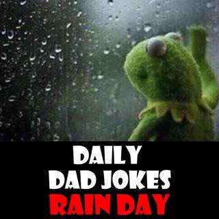 National Rain Day! 29 jokes for a raining day! 29 July 2026