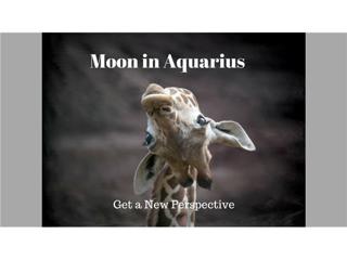 Moon in Aquarius - Get a New Perspective