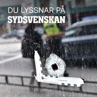 Vad handlar Malmös gängkrig om?