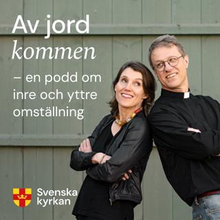 #08 Det kollektiva samvetet